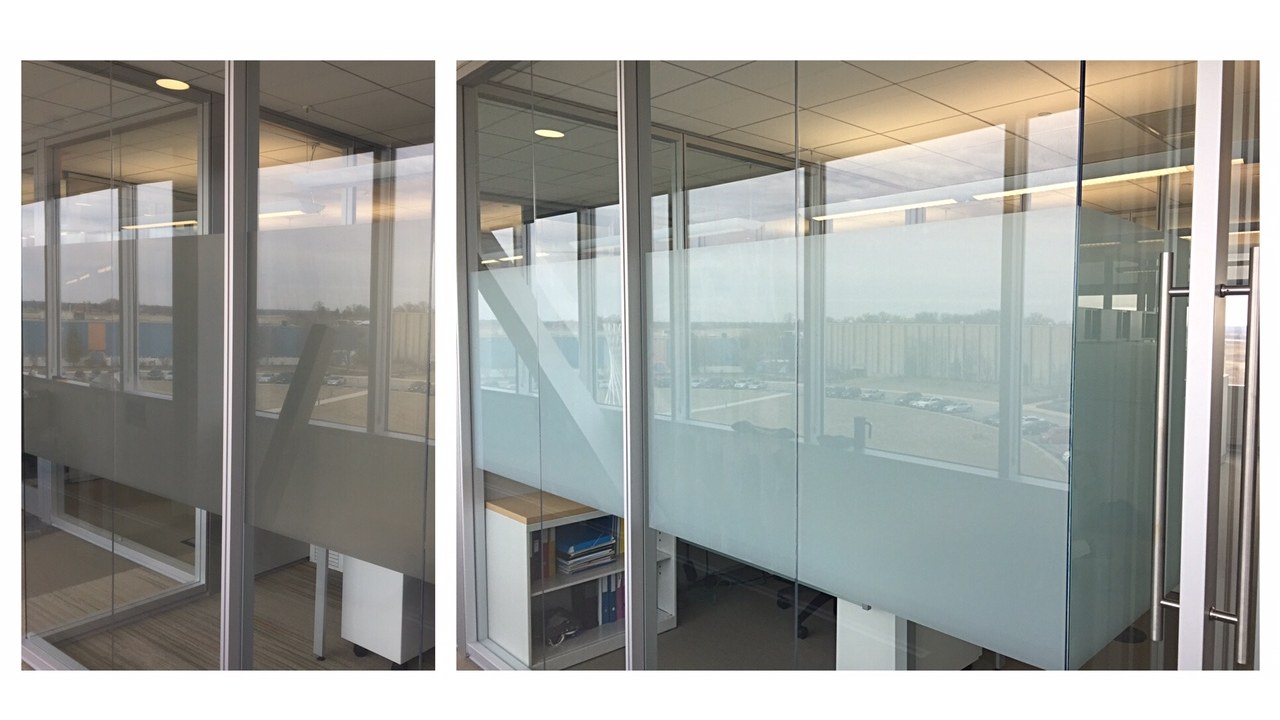Two glass office fronts at a library with different privacy films applied side by side during a mockup, used to compare appearance before the final film was chosen.