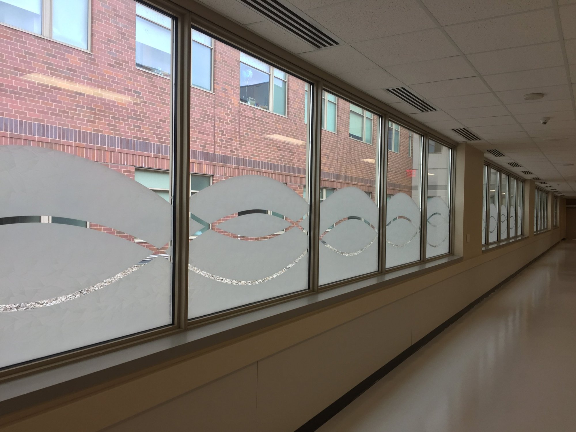 https://aaaglass.com/wp-content/uploads/2026/10/advocate-sherman-hospital-window-film-after-1.jpg