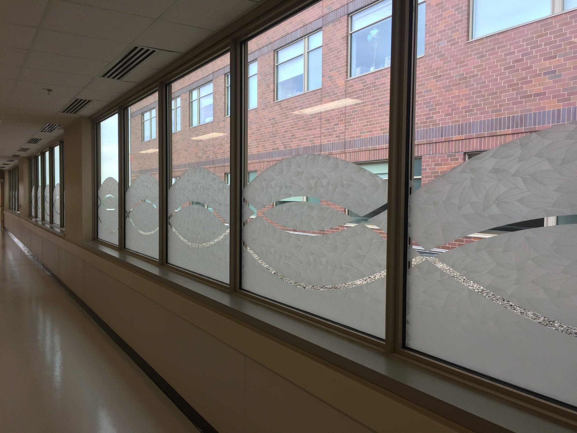 https://aaaglass.com/wp-content/uploads/2026/10/advocate-sherman-hospital-window-film-after-2.jpg