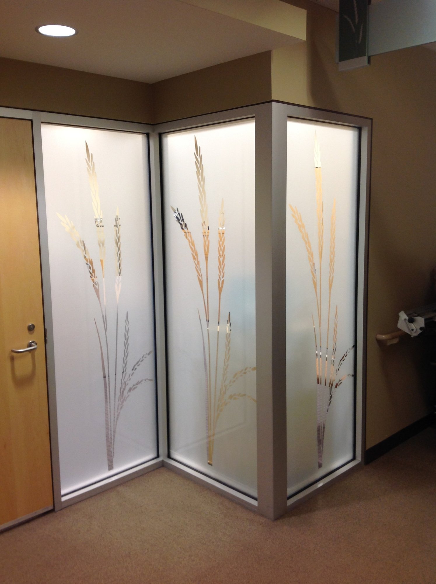 https://aaaglass.com/wp-content/uploads/2026/10/advocate-sherman-hospital-window-film-corner-panels.jpg