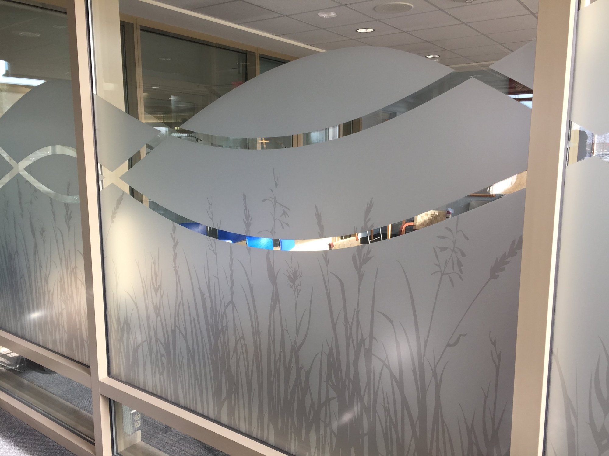 https://aaaglass.com/wp-content/uploads/2026/10/advocate-sherman-hospital-window-film-office.jpg