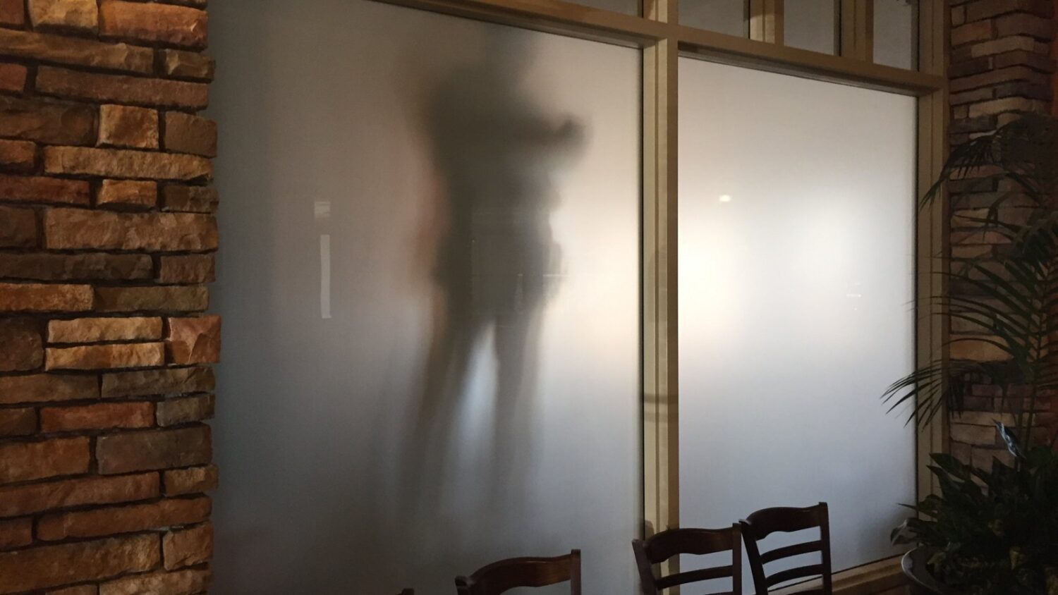 Frosted privacy window film blurring two people standing behind the glass into soft silhouettes, installed by AAA Glass Tint.