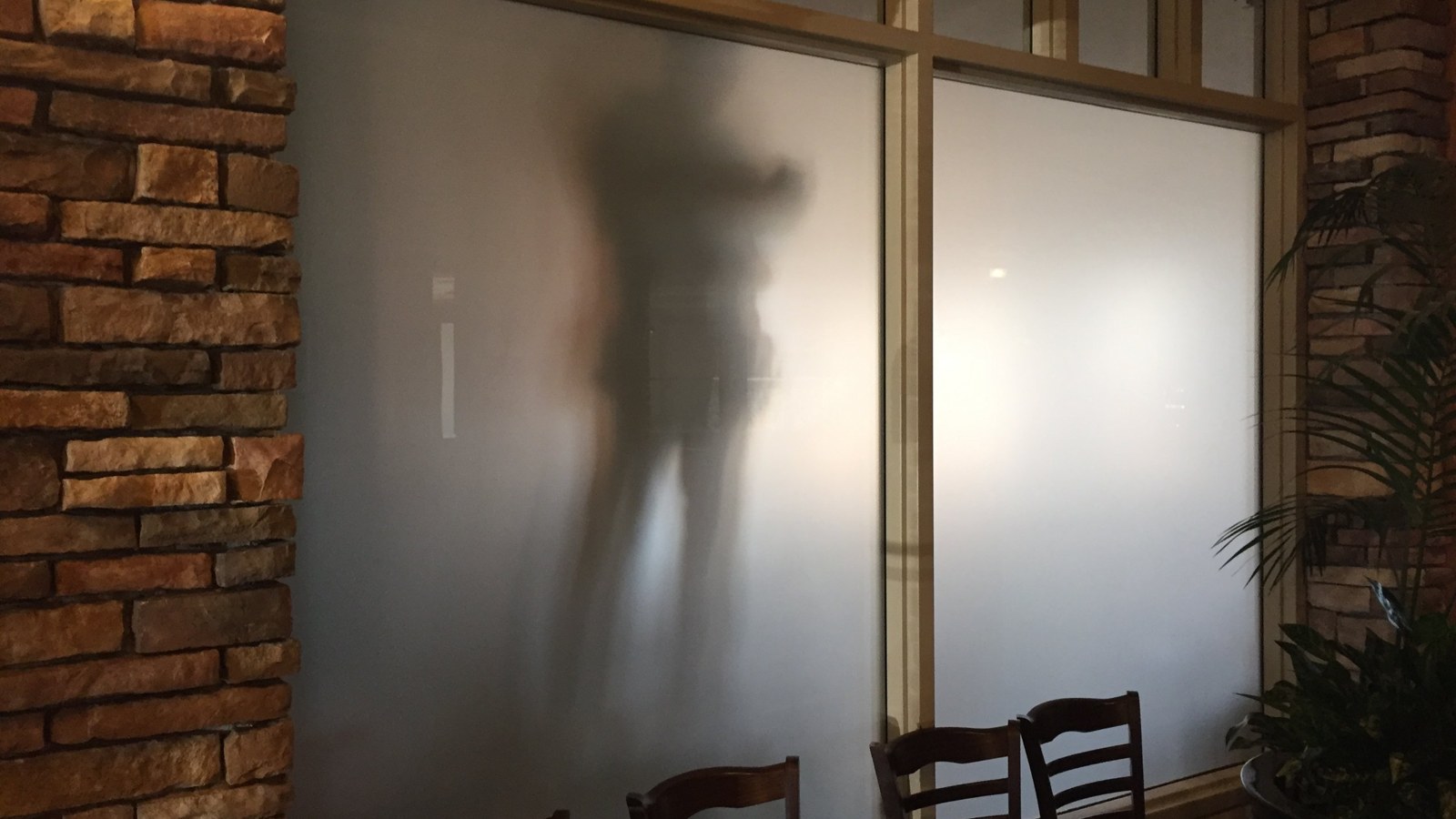 Frosted privacy window film blurring two people standing behind the glass into soft silhouettes, installed by AAA Glass Tint.
