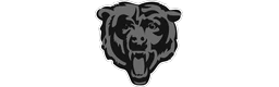Chicago Bears