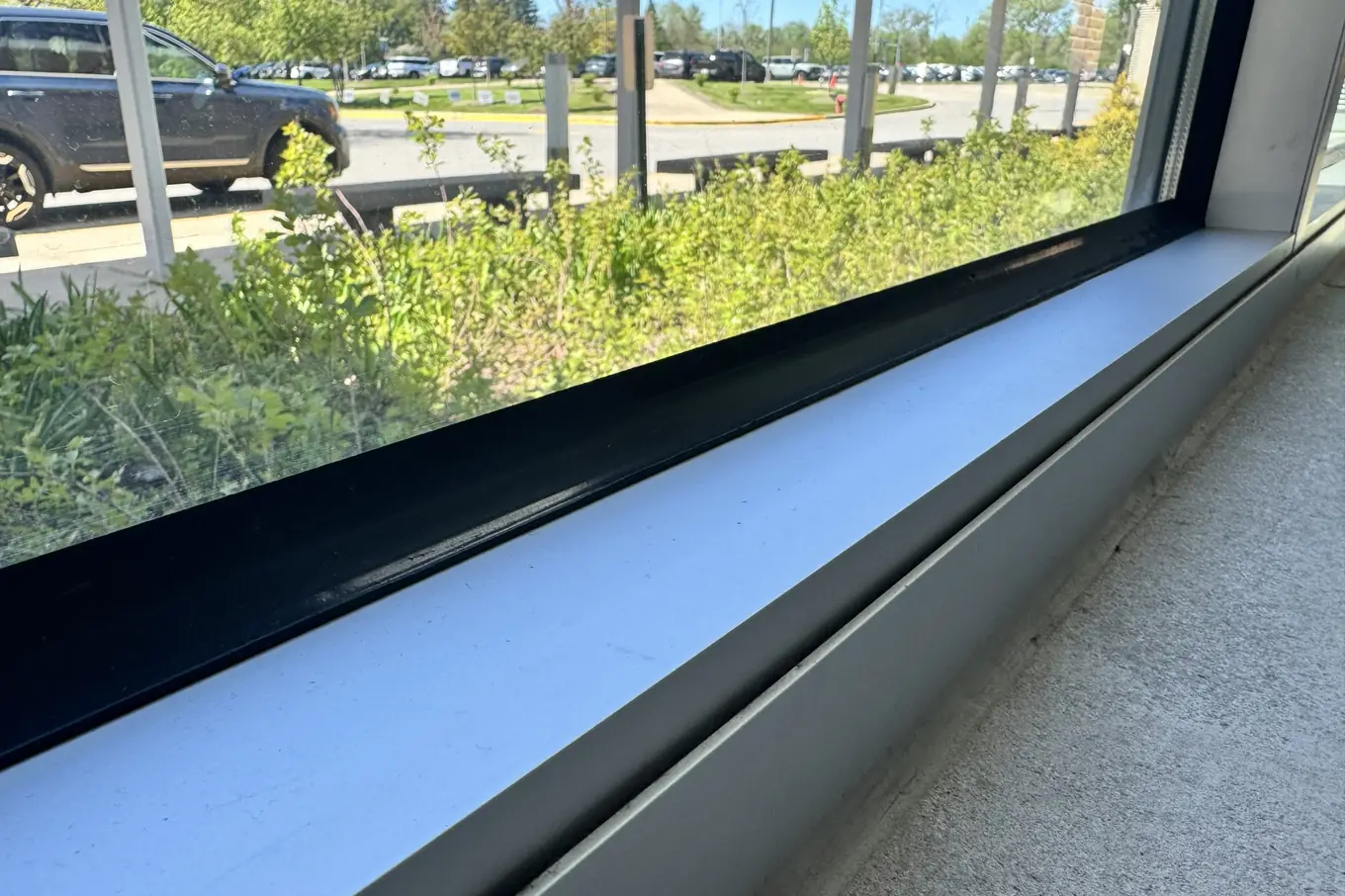 DOWSIL 995 structural silicone bead along the bottom frame of a window, attaching clear security film to the frame.